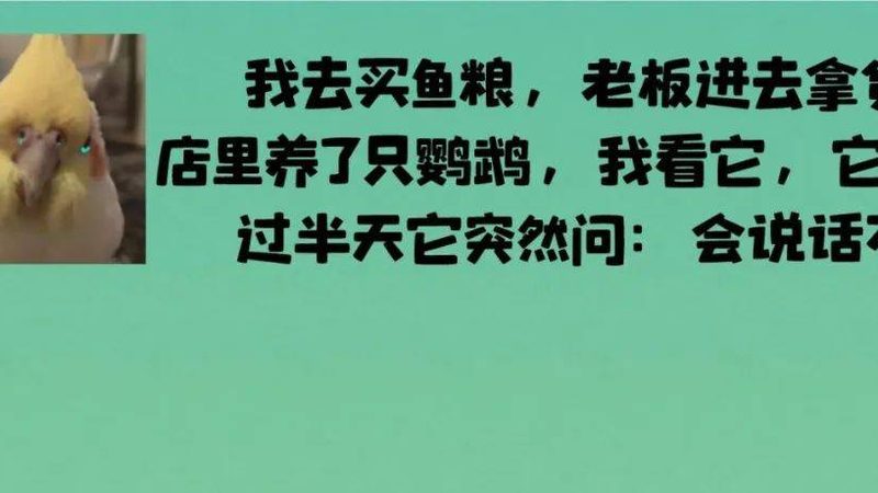 全麦饼干酥脆型哪个好