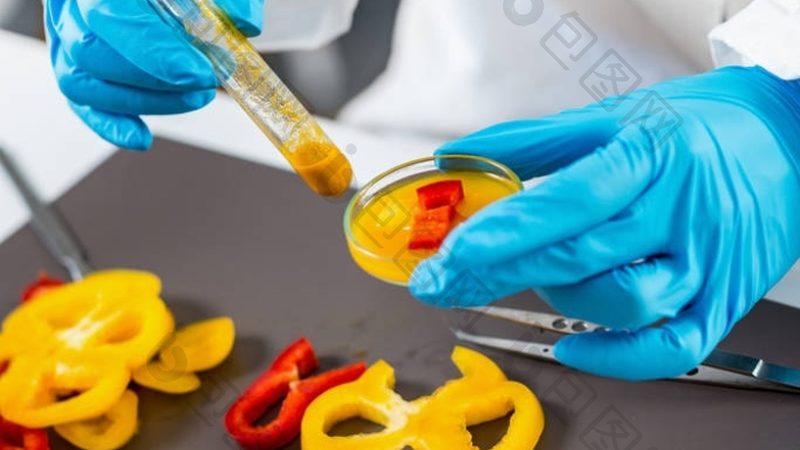 成都食品OEM代工：材质与规格标准的深度解析